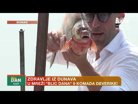 Koja su najbolja mesta za pecanje na Dunavu i šta tamo možete upecati? | BLIC DAN