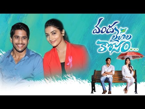 Oka Laila Kosam Audio Success Meet