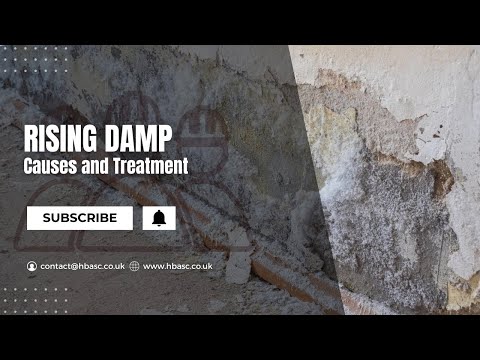 Rising Damp | Causes & Treatment