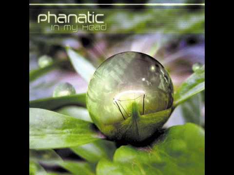 Bizzare Contact Vs Phanatic NN