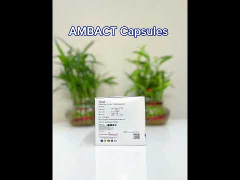 Pre and pro biotic caps (ambact), for clinical, 10x1x10