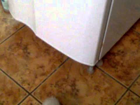 Cris Marie papando ♥