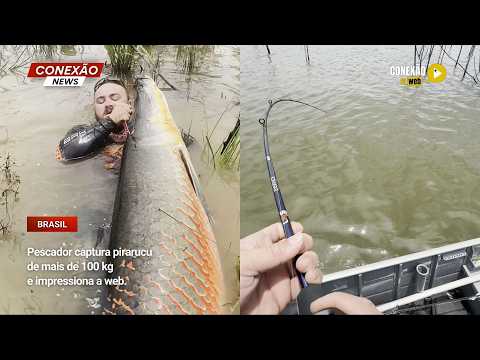 Vídeo: Pescador captura pirarucu de mais de 100 kg e impressiona a web.