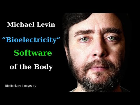 Bioelectricity: The Software of the Body - Michael Levin