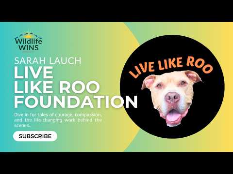 Wildlife Wins 🎙️│Sarah Lauch on Live Like Roo, Pet Cancer Support & Compassion in Action