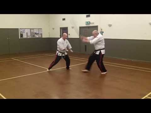Jo kata and Bunkai
