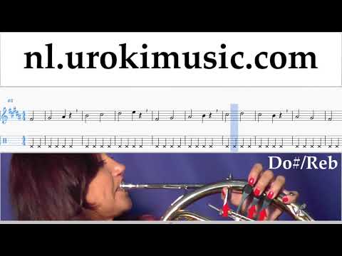 Hoornles Silvestre Dangond Nicky Jam - Cásate Conmigo Muzieknoten Cursus Deel#1 um-i374