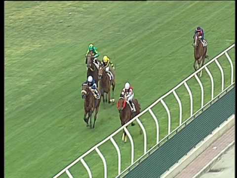 Galoppo 11/05/2017 - 2ª corsa