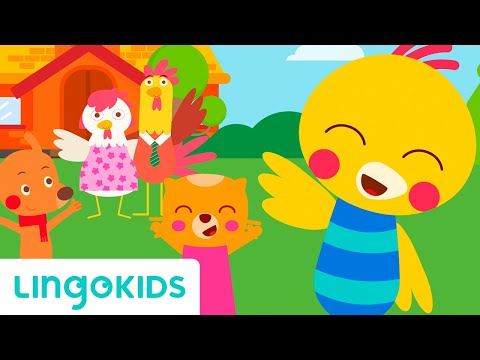 Emociones En Ingles Lingokids