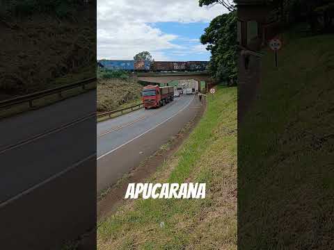 Apucarana Paraná.