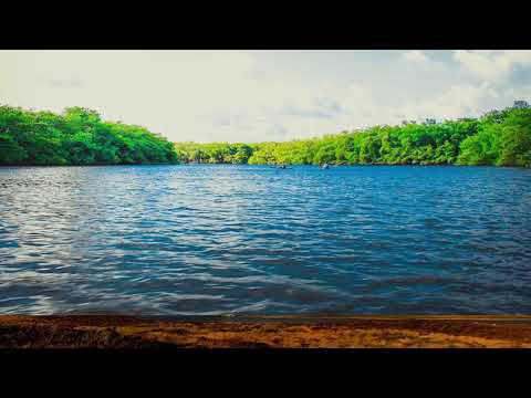 DORIN SI ANDREEA CAZACU - Te laud