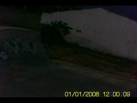 Mini ramp Maria Lacerda