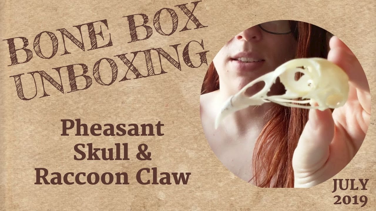 Unboxing July 2019's BoneBox from Skulls Unlimited