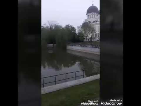 Ziridava Road Race 2019