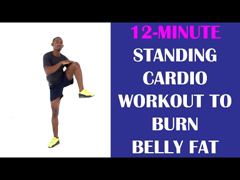 Standing Cardio Workout to Lose Belly Fat | 12-Minute Low Impact Workout