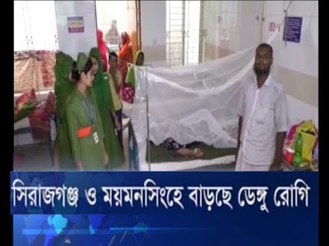 সিরাজগঞ্জ ও ময়মনসিংহে বাড়ছে ডেঙ্গু রোগি