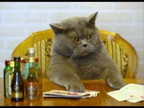 Scott Conrad - Drinking Medley