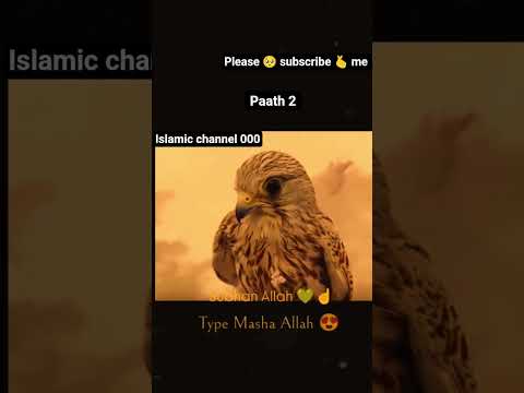 allah likhe ❤️ paath 2