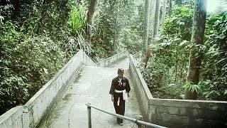 87+ Gambar Bunga Terate Psht Terbaru 87+ Gambar Bunga Terate Psht Terbaru