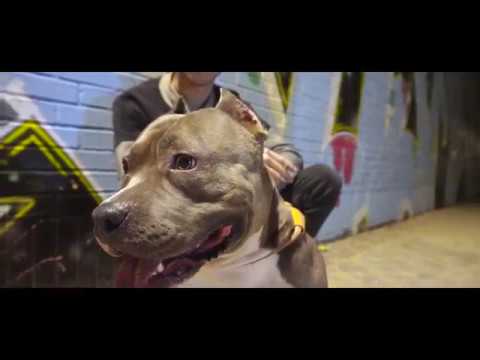 SEBAS - ONE WAY (VIDEOCLIP OFICIAL)