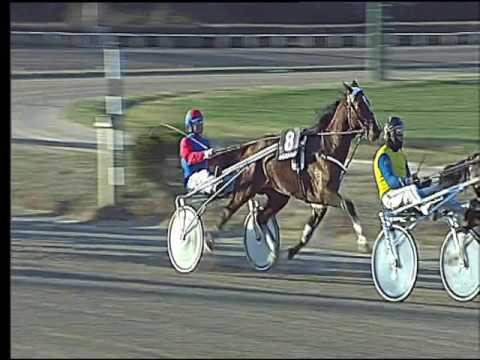 Trotto 10/02/2017 - 3ª corsa