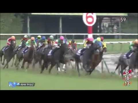 NHKマイルカップ2017