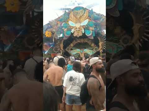 Gaia Connection Leo Casagrande #psychedelic #festival #gaiaconnection