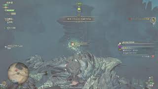 [モンスターハンターワイルズ]β版[PS5]