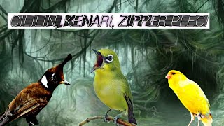 Download lagu MASTERAN KOMPILASI TERBARU materi cililin-kenari-pleci mp3