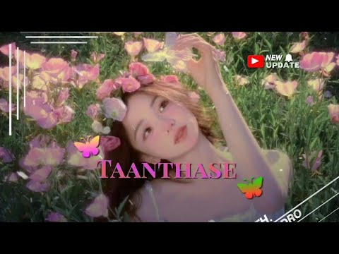 Taanthase  🌹💐Manipuri new song  lyrics video  xml 📁⤵