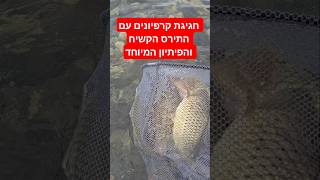 חגיגת קרפיונים עם הפיתיון המיוחד והתירס הקשיח