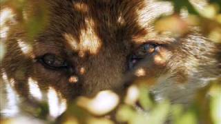 Leona Lewis  -  Here I am