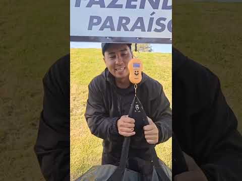 Fazenda Paraíso - Minas Gerais #pesqueiro #dicasdepesca #pescaesportiva #pescadores #foryou