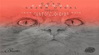 Sezer Uysal, Coyu - Cygnus Gabriel Ananda Remix