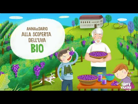 Alla scoperta del vigneto BIO – Azienda Agricola Terra e Gente