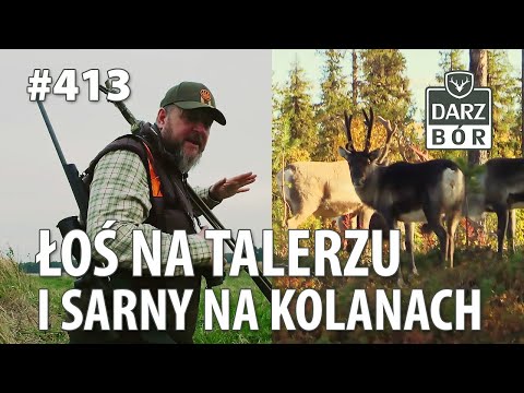 Darz Bór odc. 413 Łoś na talerzu i Sarny na kolanach.