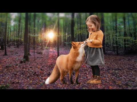 روباهه دمش درازه