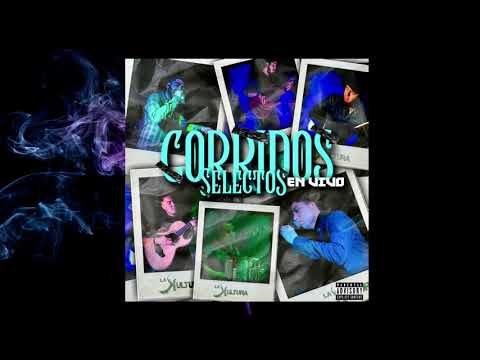 La Kultura - El Buho ( En Vivo ) 2020