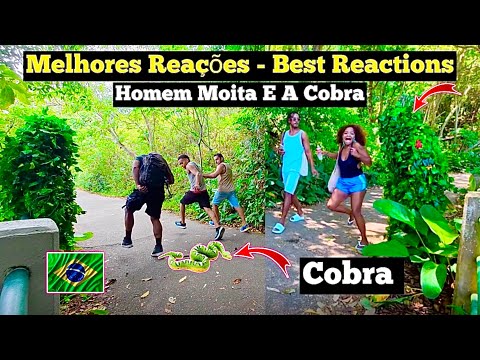 Pegadinha: Compilação dos melhores sustos e reações do homem moita e a cobra / Bushman Prank