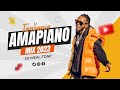 TANZANIA AMAPIANO VIDEO MIX EPISODE 1 DJ MEAL TONE FT DIAMOND PLATNUMZ MARIOO HARMONIZE ETC