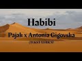 Pajak x Antonia Gigovska - Habibi (TEKST/LYRICS)