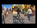Hamba wena || Tiktok dance #amapiano #tiktok #compilation