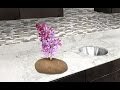 Put A Lilac Flower In A Potato and Watch it GROW! How-To FAST and EASY Growing Method