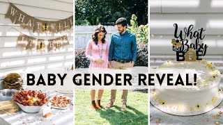 BABY GENDER REVEAL! | Finding out what gender our baby is and planning the most perfect party!