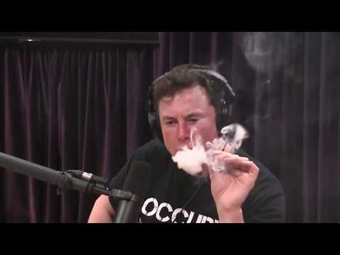 Elon Musk - R.I.P. Harambe (Official Music Video)