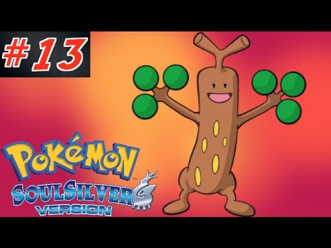Pokemon Soul Silver Walkthrough | Part 13 - Steady Wood!