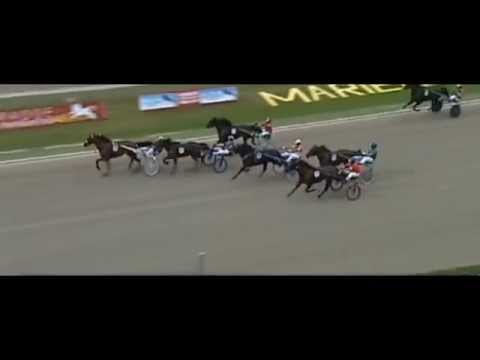 Buddenbrock Rennen 2015_Cash Hanover 1:12,6_Thorsten Tietz