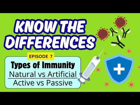 Immune System | Types of Immunity