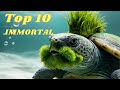 Top 10 Animals That Defy DEATH Itself Turtles Only Rank 7th
