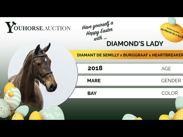 Diamond's Lady showvideo